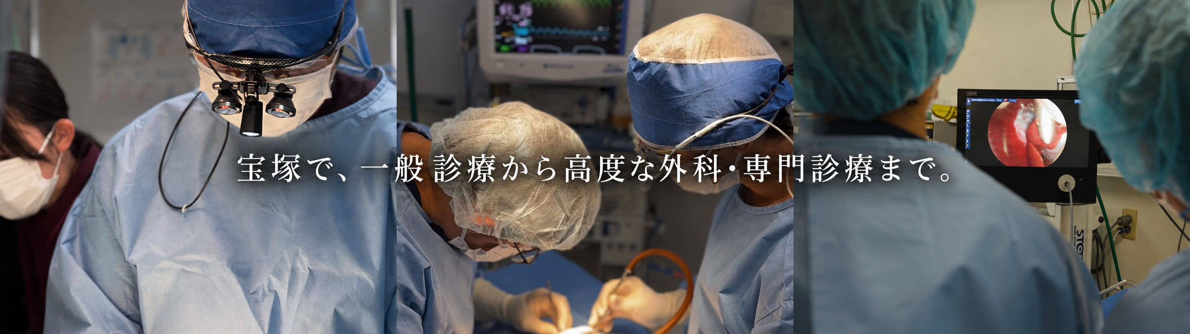 宝塚で、一般診療から高度な外科・専門治療まで。