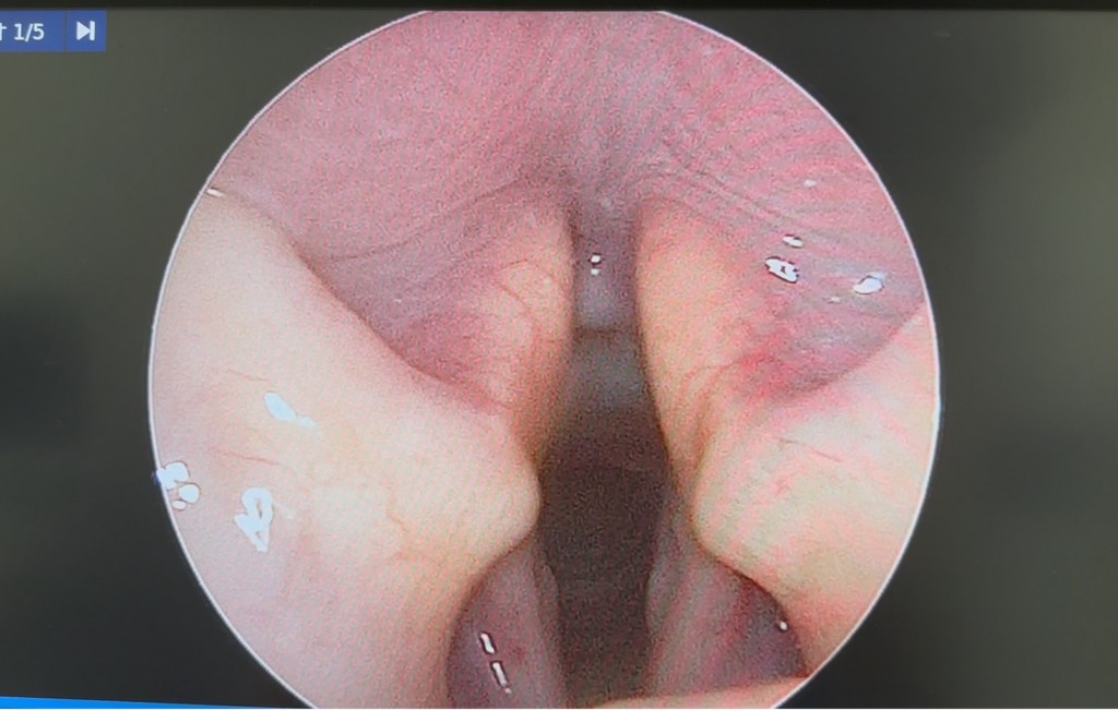 S__23158788