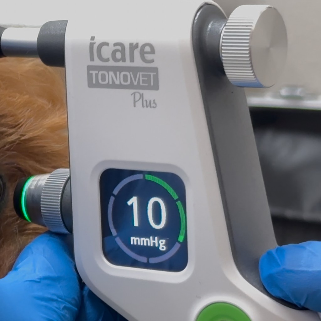 8FEF3796-3DF3-45B0-A577-A0AD532D53B4