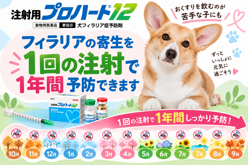 ChatGPT 画像 2026年9月29日 15_08_40