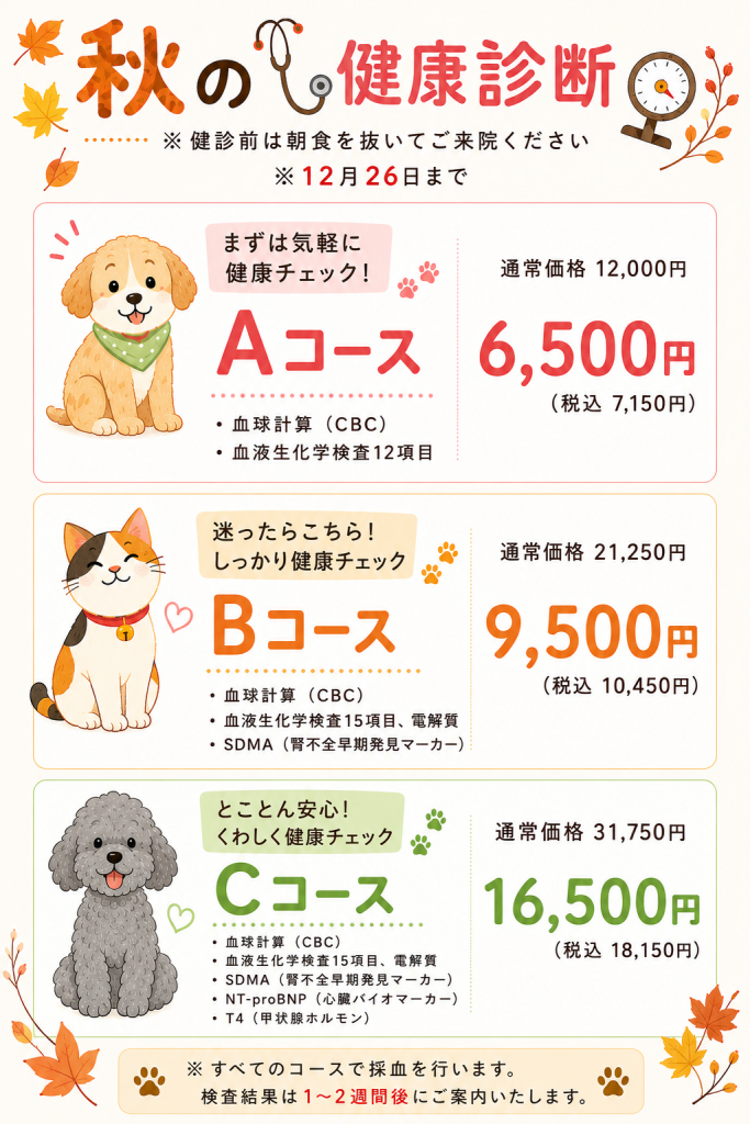 秋の健康診診断案内2026